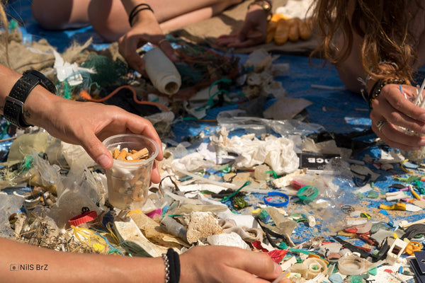 Plastic waste collected from the beach