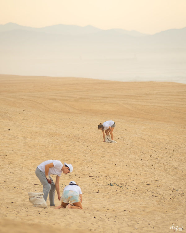 Volunteers collecting rubbish on a vast beach